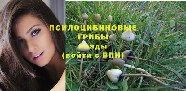 мяу мяу мука Ельня