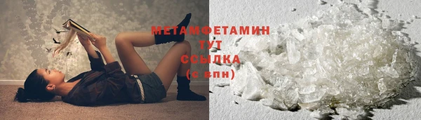 мяу мяу мука Елабуга