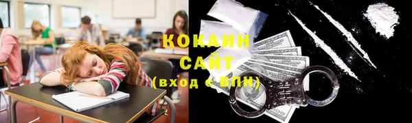 мяу мяу мука Елабуга