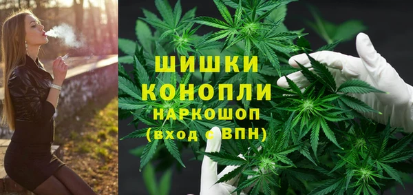 мяу мяу мука Елабуга