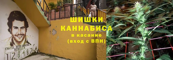 мяу мяу мука Ельня