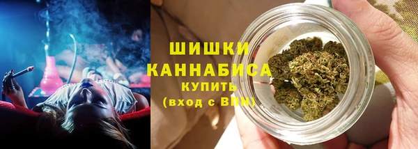 мяу мяу мука Елабуга