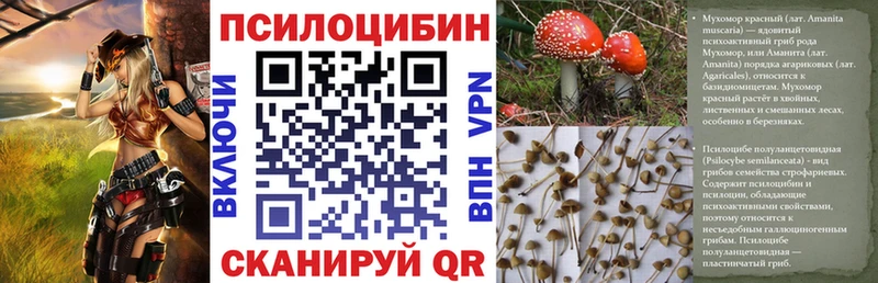 Псилоцибиновые грибы мицелий  Купить  Буйнакск 