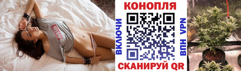 Купить  Буйнакск  Конопля VHQ 